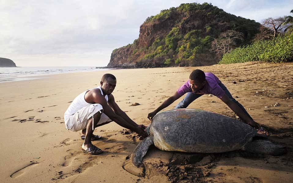 tortue-marin-itsamia-tourisme-comores-958×599